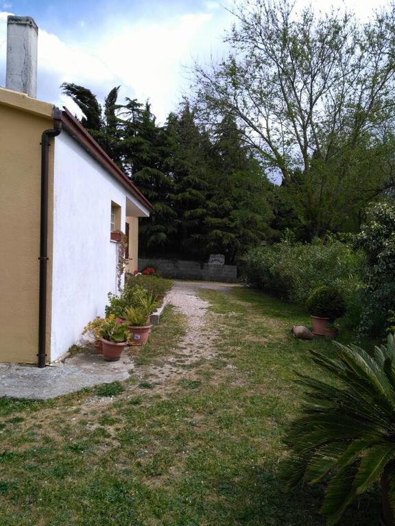 Agriturismo Usurtala Orani Exterior photo